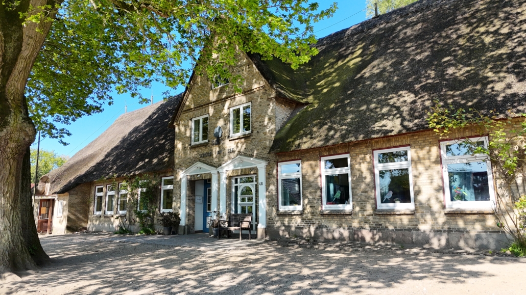 Hier sieht man die Grundschule in Groß Wittensee mit unserer schönen alten Eiche auf dem Schulhof.
